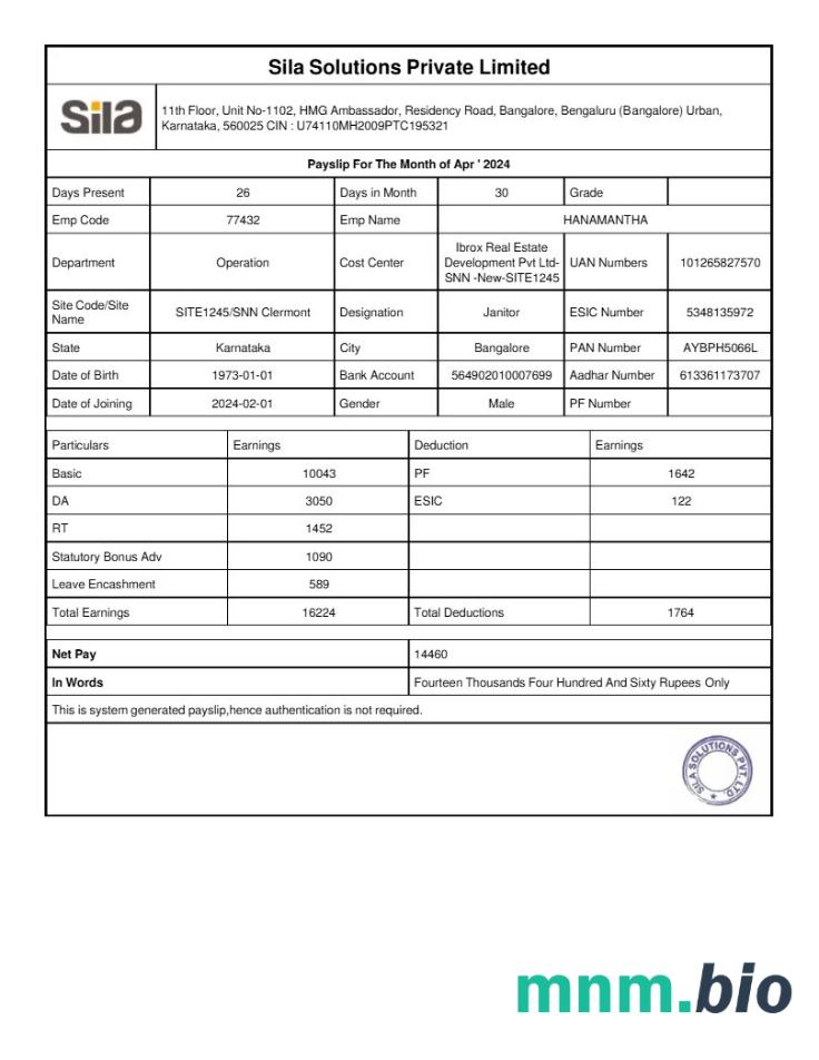 Szablon odcinka wypłaty Sila Solutions w formatach Word i PDF